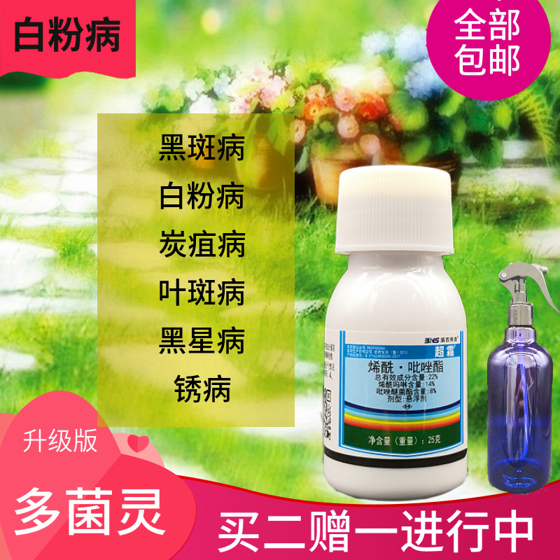 专治黑斑病霜霉病叶枯病烟煤病杀菌剂多菌灵多肉花卉绿植室内包邮