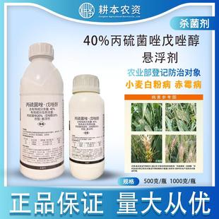 黄龙稼欢40%丙硫菌唑戊唑醇悬浮剂小麦白粉病赤霉病农药杀菌剂
