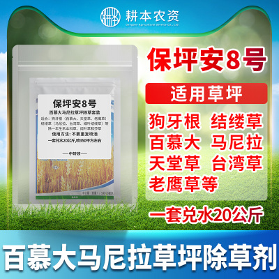 马尼拉狗牙根百慕大台湾草暖季草坪除草剂稗草马唐狗尾草保坪安8