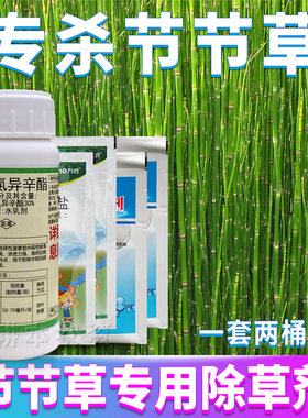 节节草笔管草笔筒草除草剂克星药