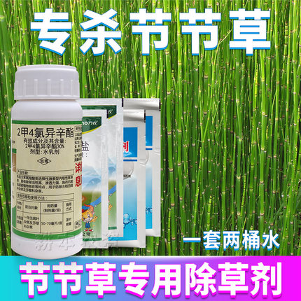 节节草除草剂木贼笔管筒草一年生药二甲四氯钠专用灭杀除草药剂