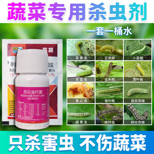 蔬菜杀虫剂毛毛虫菜青虫斜纹夜蛾尺蠖肉粘螟虫灭打杀除虫专用农药