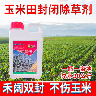 滨农科技玉美思玉米田封闭剂玉米封草剂玉异丙草胺莠去津玉米除草
