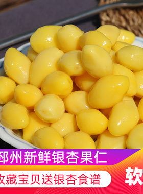 新鲜银杏果仁邳州优质白果仁真空包装去壳熟的银杏果徐州特产500g