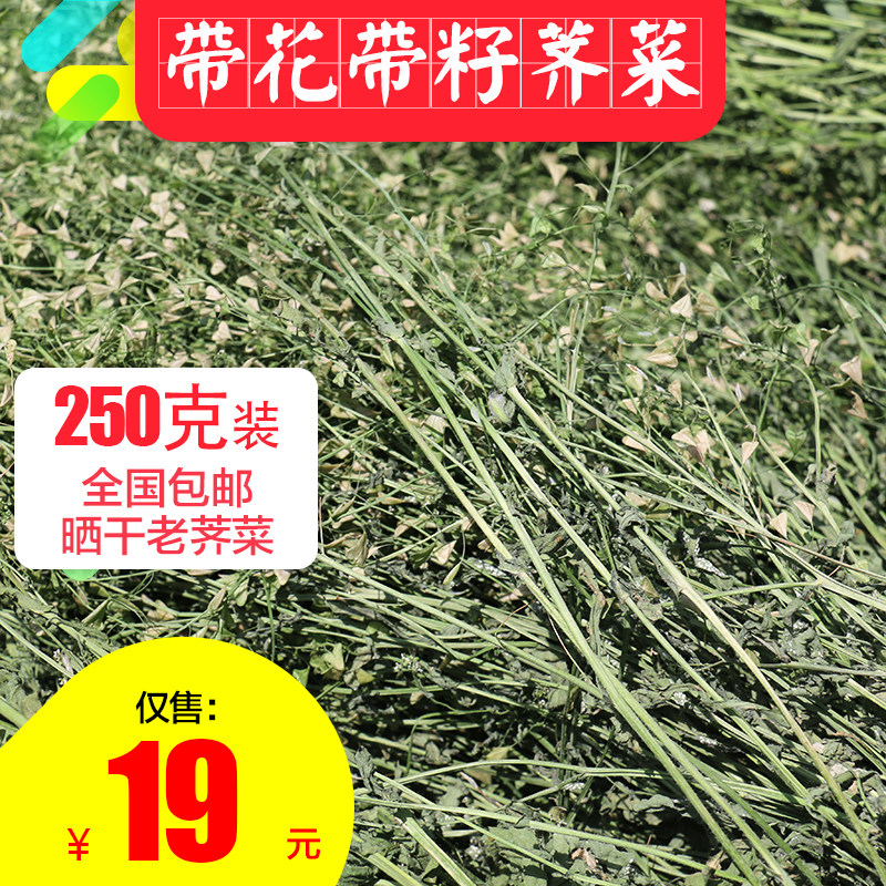 野生老荠菜干有花籽整株带根晒干图片
