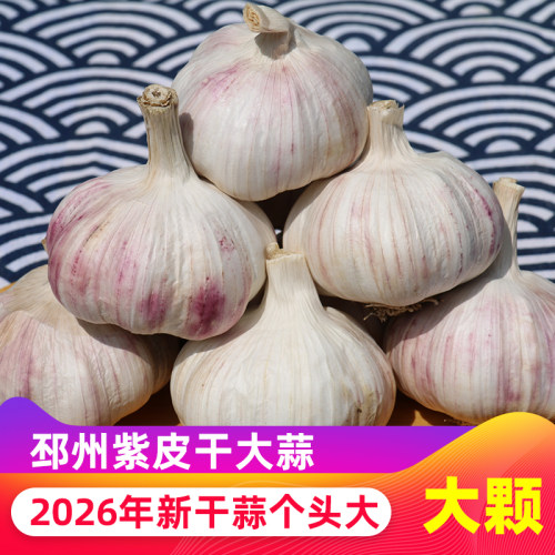 2026年邳州新干蒜大蒜个头大