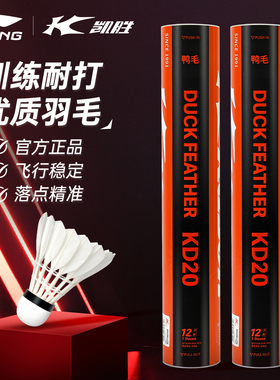 李宁凯胜羽毛球KD20耐用超级耐打训练球室外防风正品官方必备装备