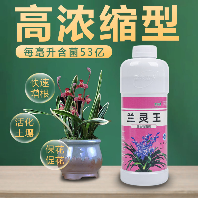 兰科植物兰花专用肥兰灵王营养液促花君子兰肥料生根催芽蝴蝶兰药 鲜花速递/花卉仿真/绿植园艺 家庭园艺肥料 原图主图