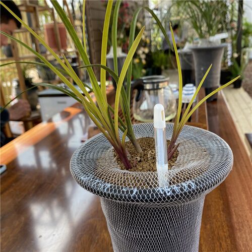 花盆水份计花信SUSTEE水分计植物湿度计土壤检测仪缺水提醒仪浇水