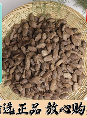 野生云南瓜蒌籽中药材500g包邮