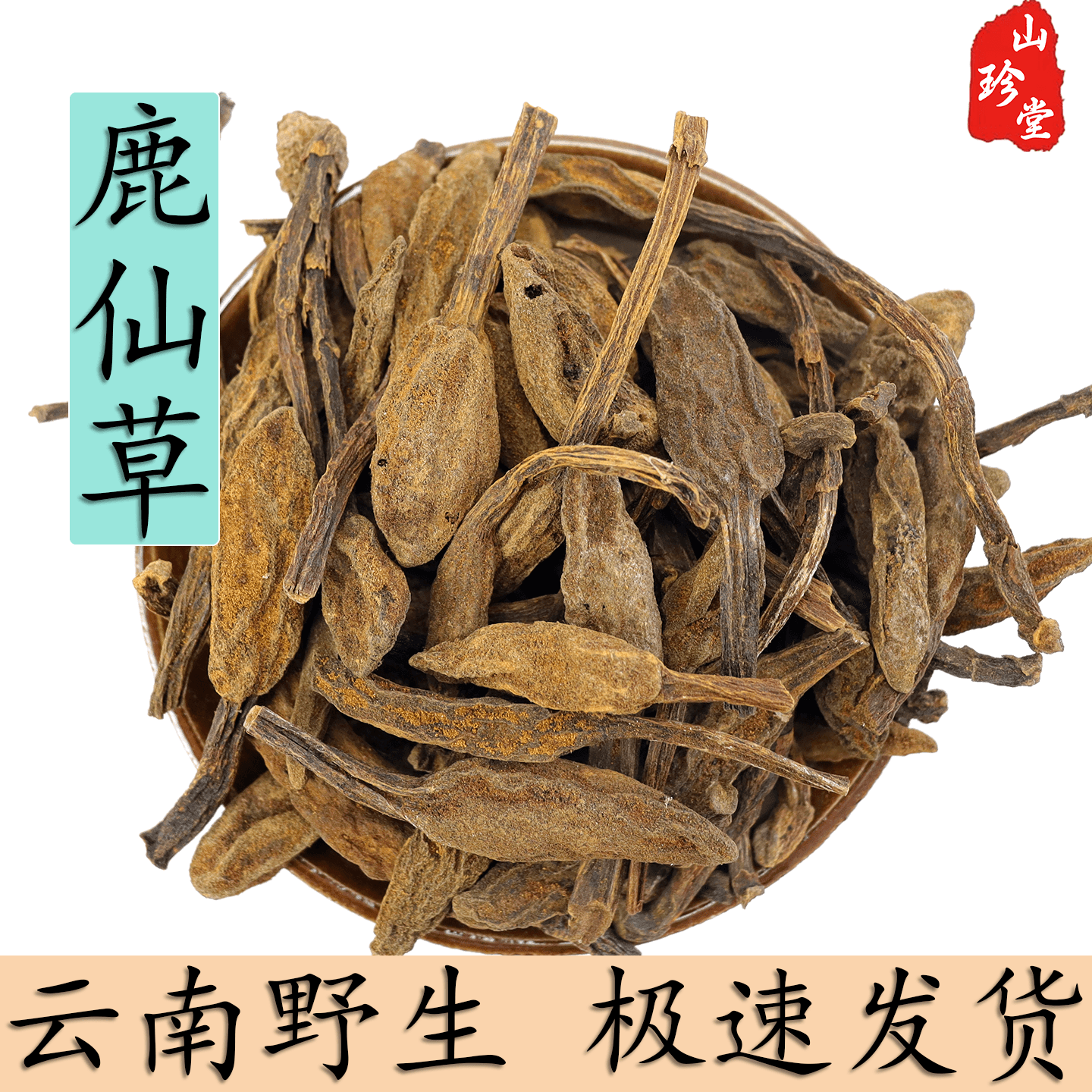 鹿仙草中药材云南野生不上莲 通天蜡烛 石上莲 山菠萝 蛇菇