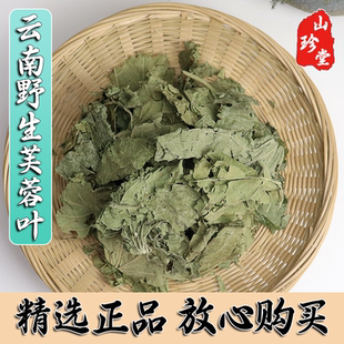 芙蓉叶中药材云南野生芙蓉叶 木芙蓉叶 地芙蓉叶