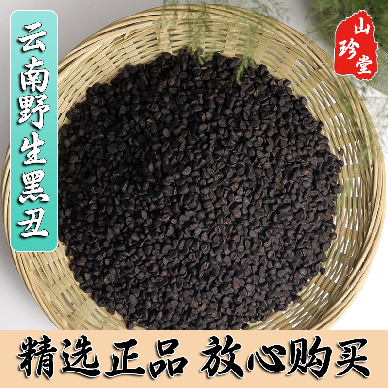 黑丑中药材云南野生黑丑 黑牵牛 牵牛子