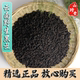黑丑中药材云南野生黑丑 牵牛子 黑牵牛