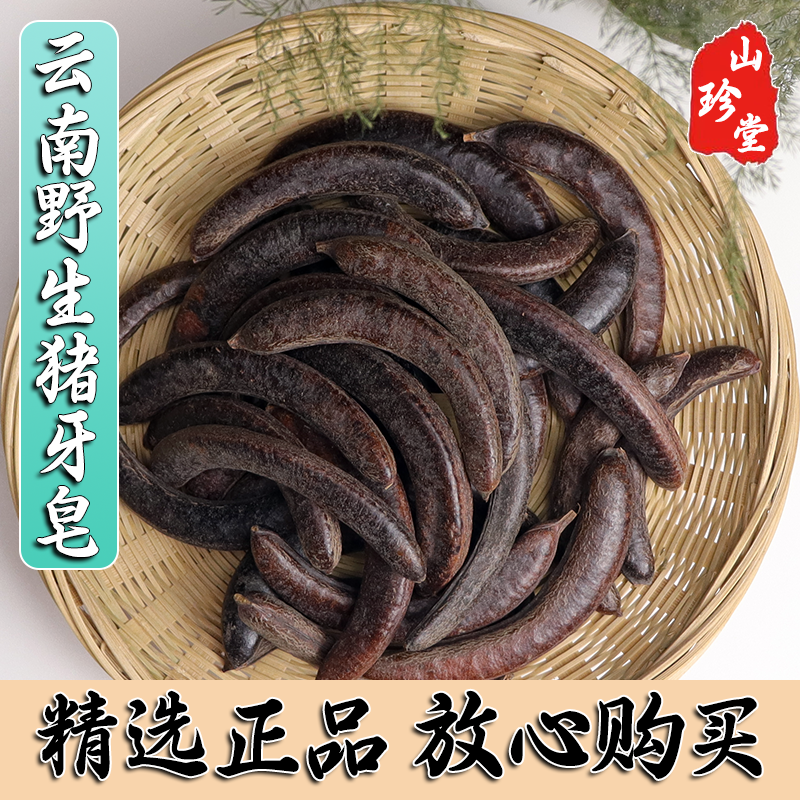 猪牙皂中药材云南深山猪牙皂 成熟饱满牙皂 小皂角荚
