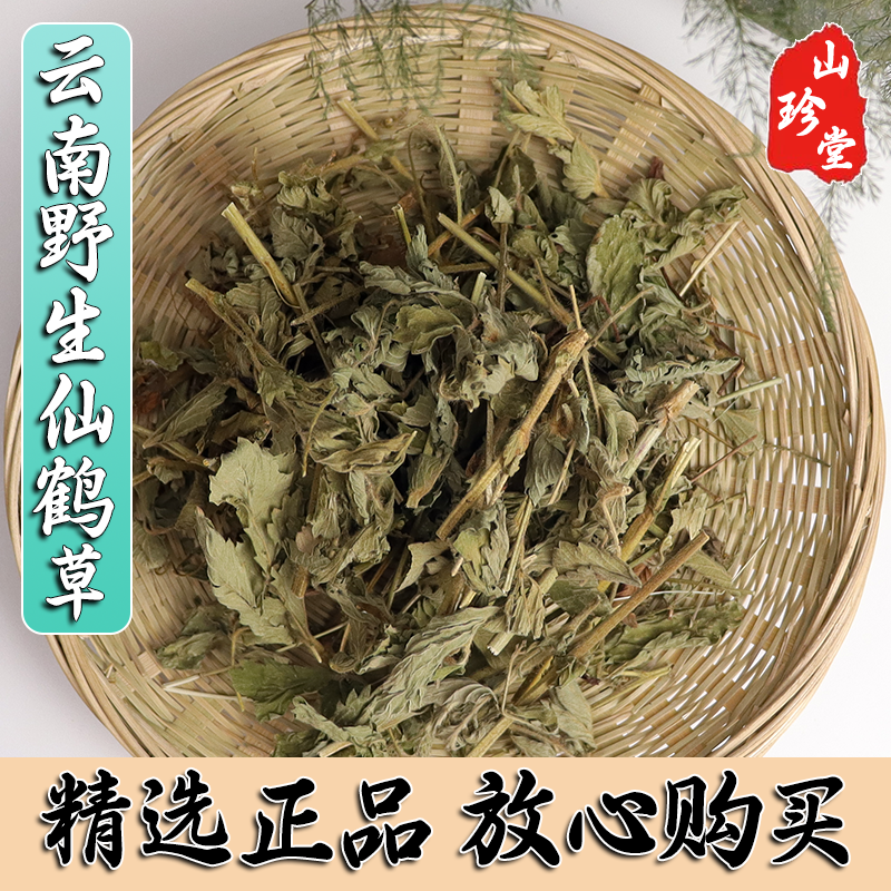 仙鹤草中药材当季新货云南图片