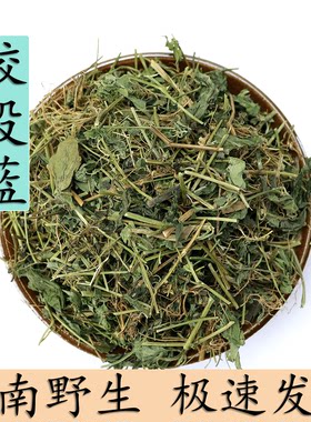 中药材云南野生绞股蓝