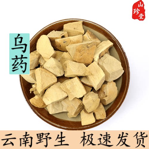 乌药中药材云南野生乌药