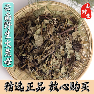 火炭母中药材云南野生火炭母