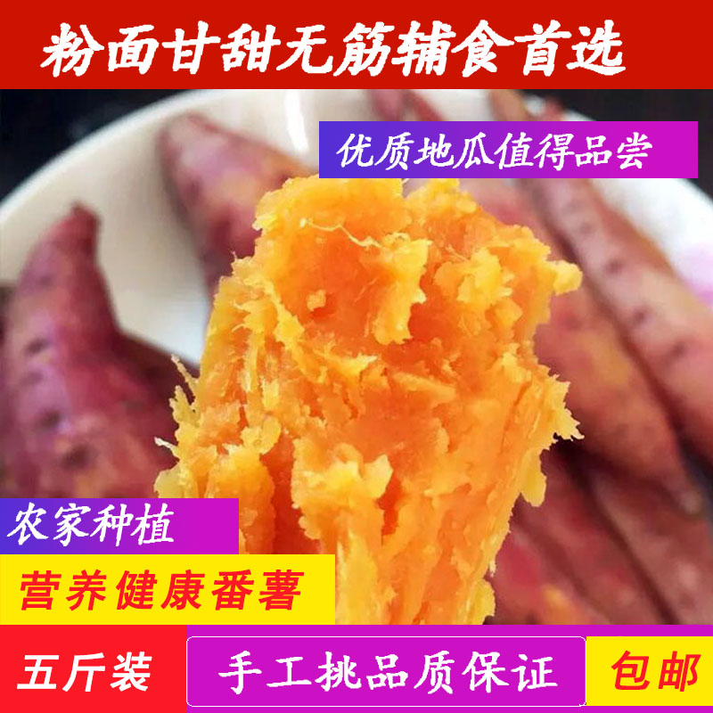 新鲜沙地六鳌密薯农家地瓜大小山芋香薯黄心番薯红苕芋包邮5斤装