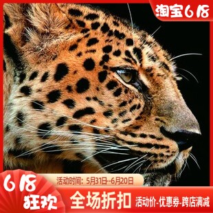 dmc精准风大画动物豹子头十字绣