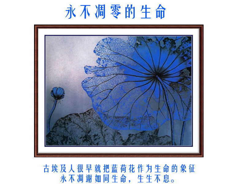 精准风印花法国玄关十字绣包邮