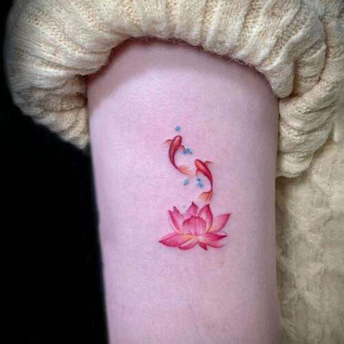 锦鲤游莲好运招财彩色纹