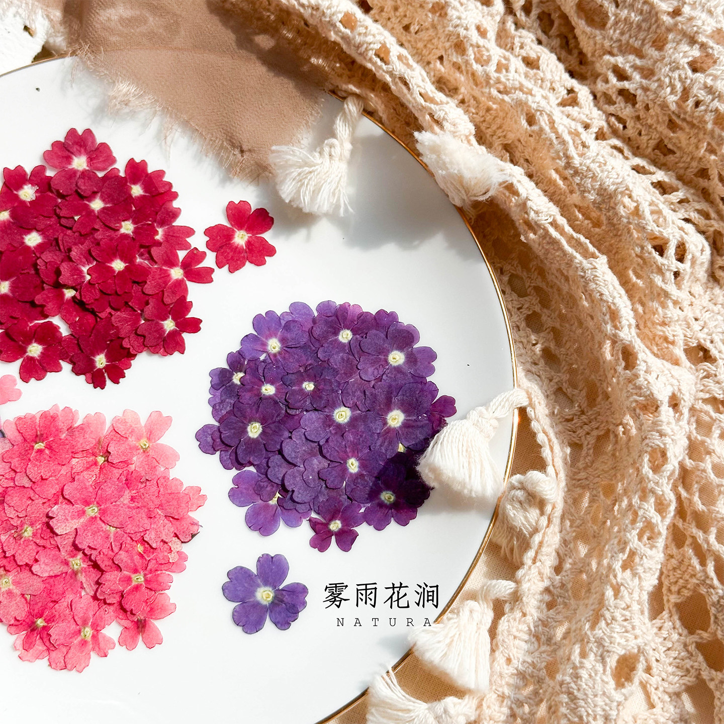 天然色可爱小花美女樱押花标本ins风干花蜡烛封入物治愈手账素材