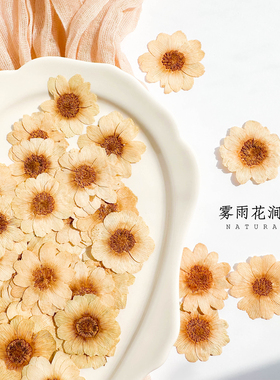 高级感书签创意干花请柬冰凌花押花标本植物手工材料复古色干花