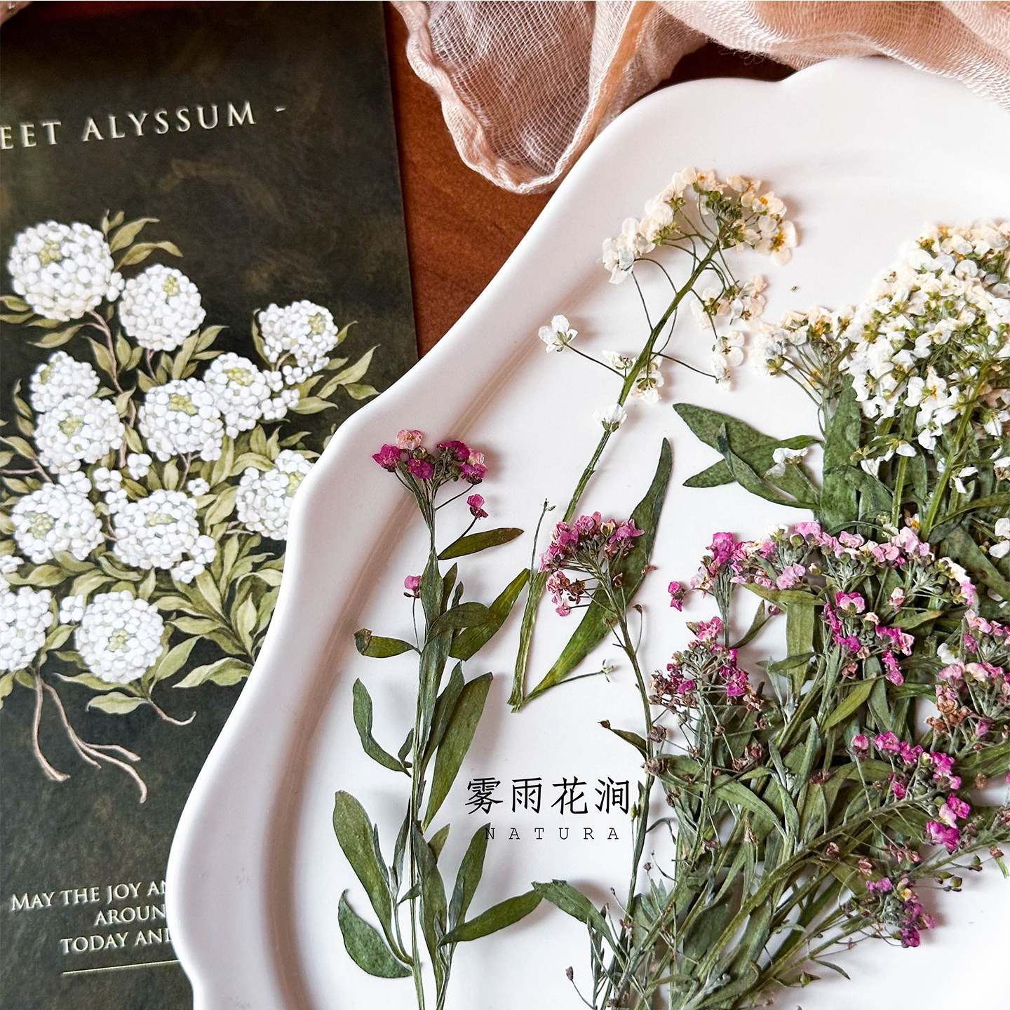 本色香雪球带枝植物干花标本创意信封贺卡请柬火漆印章婚礼喜帖