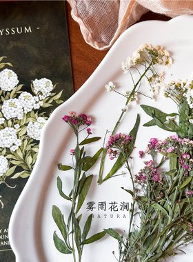 本色香雪球带枝植物干花标本创意信封贺卡请柬火漆印章婚礼喜帖