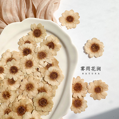 高级感书签创意干花请柬