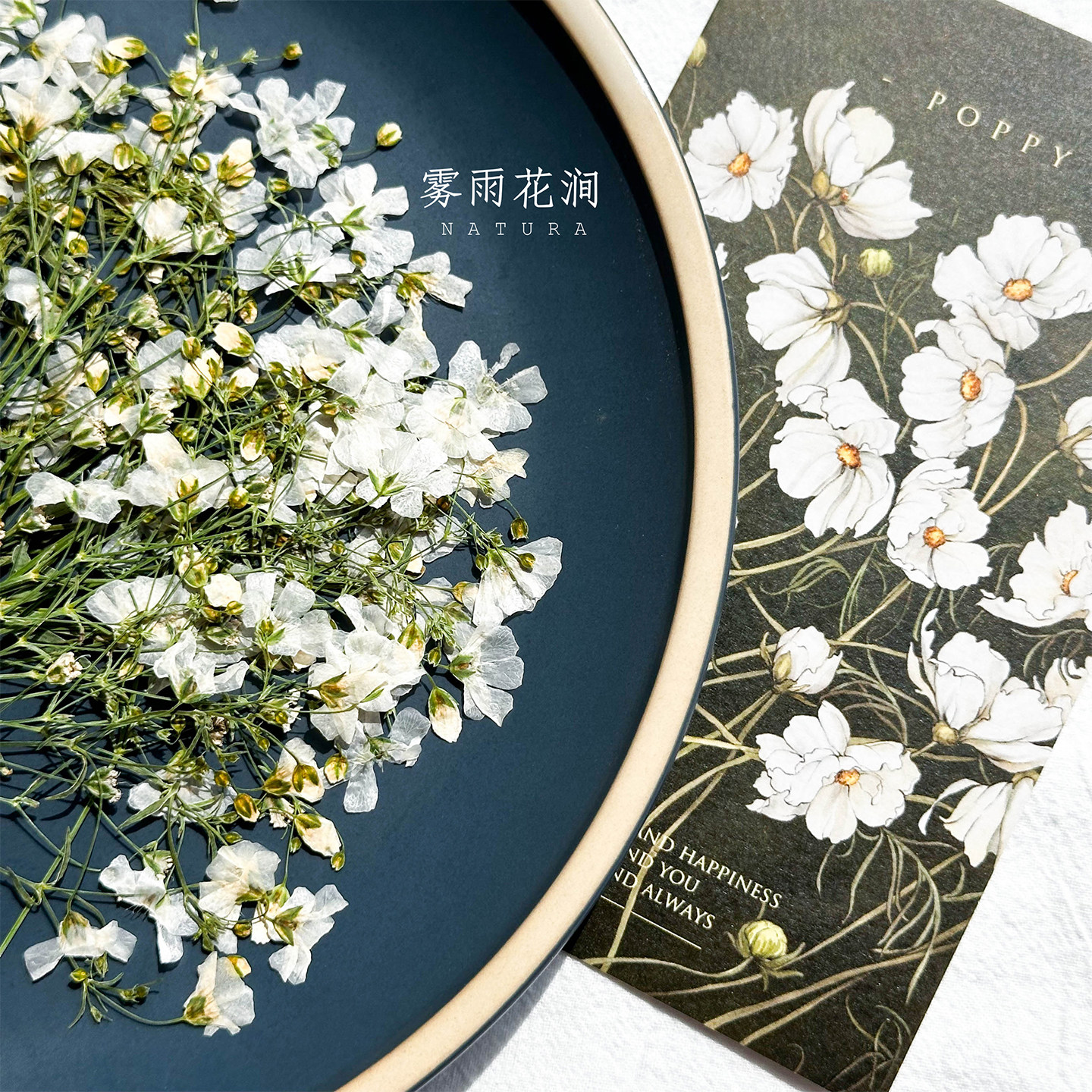 葭草植物标本干花押花手工婚礼请柬书签装饰画滴胶手机壳白色押花