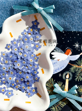 勿忘我蓝色迷你小花押花植物标本书签手工干花装饰画uv胶真花饰品