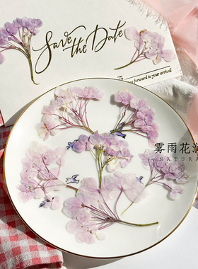 粉色带枝绣球押花干花手工香薰真花相框diy请柬火漆印章手机壳