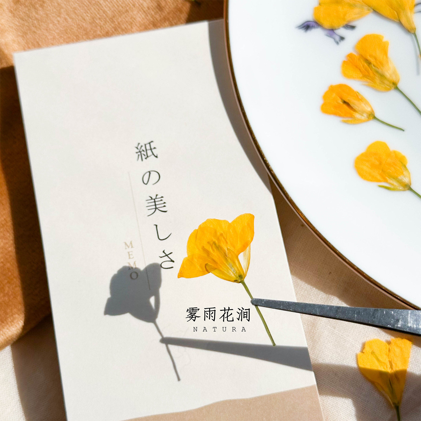 优质染色油菜花压花标本滴胶不变色diy手机壳手工干花材料书签,家居饰品,干花/花瓣/干花包/干树枝,淘宝优惠券,粉丝福利购,淘宝优惠卷