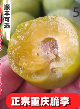 重庆现摘青脆脱骨李子