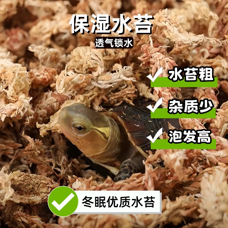 黄缘龟冬眠箱过冬垫材乌龟冬眠用品饲养箱智利水苔小龟冬眠盒套装