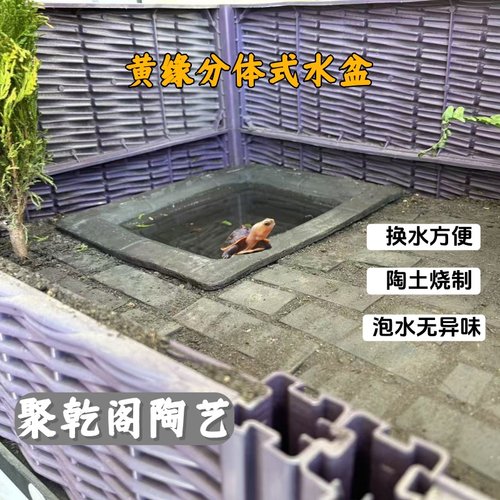 黄缘龟专用分体式水盆乌龟泡澡盆安缘喝水盘半水龟缸生态造景用品