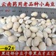 26年云南药用白扁豆去湿中药农家黑边老品种新货1000g可磨粉