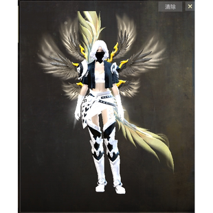 激战2争斗者丝绸夹克皮肤商城道具黑狮宝石含wegame