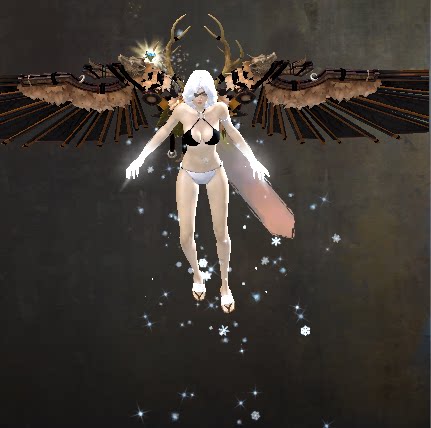 激战2席瓦雪山猎手背包滑翔翼组合商城道具黑狮宝石含wegame