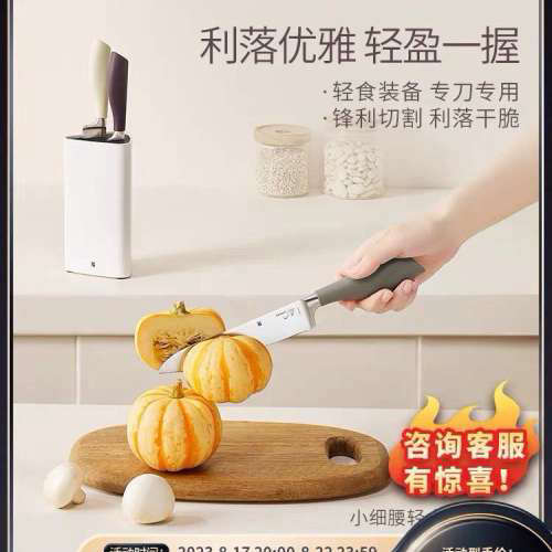 请询价；德国WMF福腾宝刀具不锈钢家用全套厨房刀具菜刀套刀4件组