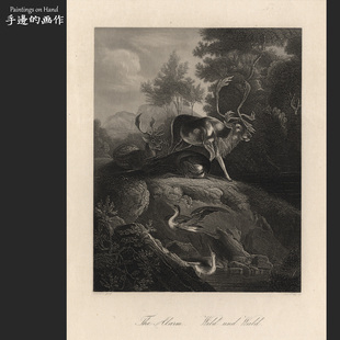 PAYNE UNIVERSUM 德国1850年代古董雕刻凹版 鹿 画 森林 鸟 钢版