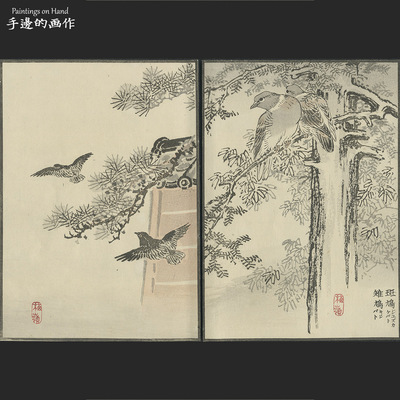 日本古董浮世绘木刻版画艺术/幸野梅嶺/花鸟绘/斑鸠雉鸡一对