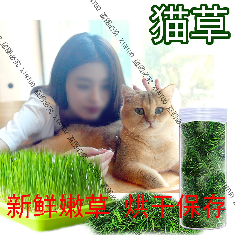 猫咪猫草烘干草芽化毛排毛猫零食洁齿去毛球多吃草少生病营养嫩草