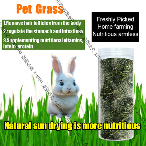 新鲜风干嫩草兔兔干草营养小狗辅食化毛球清肠胃龙猫豚鼠荷兰猪