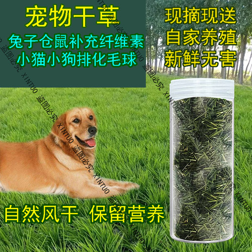 自然风干小狗零食清肠胃龙猫豚鼠荷兰猪猫草化毛球兔兔干草零食