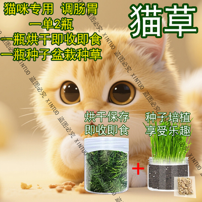 现摘烘干猫草猫咪零食化毛排毛洁齿猫草种子盆栽新鲜嫩草营养补充