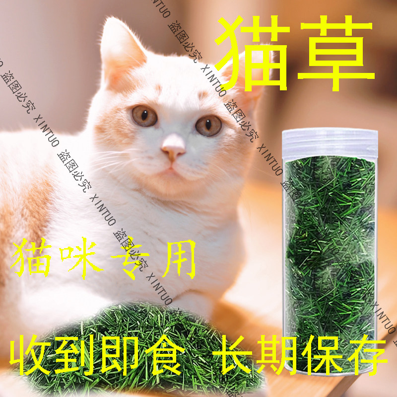 新鲜烘干猫咪专用猫草已长成化毛排毛猫草碎去毛球猫咪零食洁齿